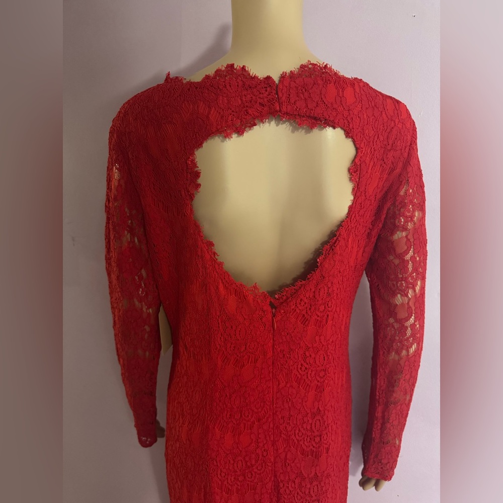 Red Lace Ferrari Dress - Picture 5 of 9
